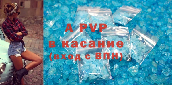 ECSTASY Новозыбков