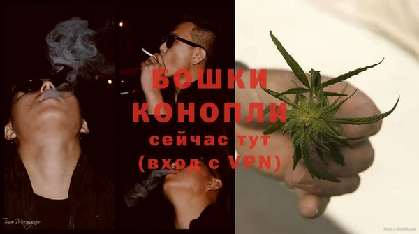 PSILOCYBIN Няндома
