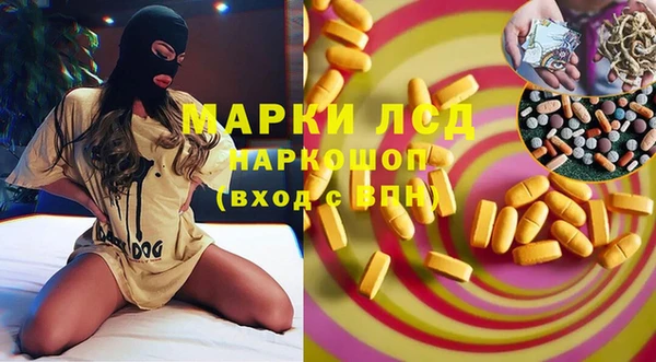 ECSTASY Новозыбков