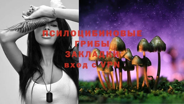 мескалин Нягань