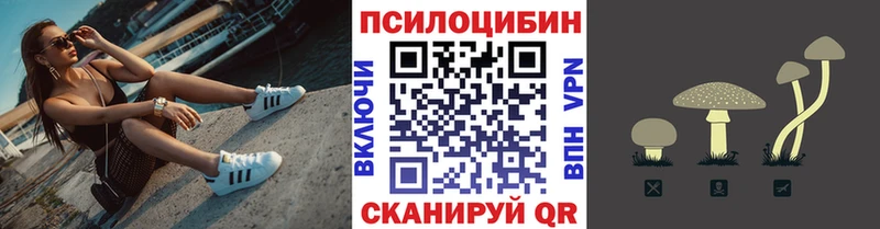 Псилоцибиновые грибы Psilocybe  МЕГА ССЫЛКА  Карабулак 